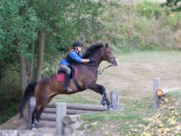IMG_8291_web